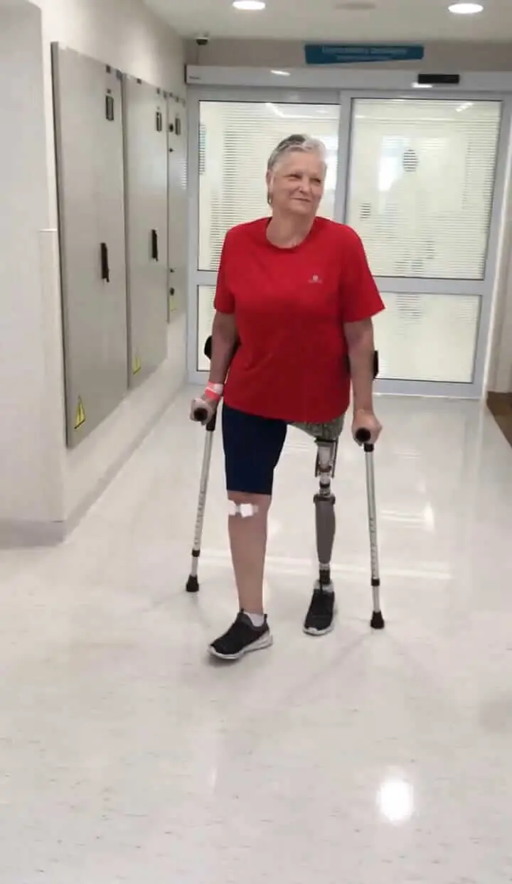 Elayne Cardoso: Liberdade e Perseverança, imagem 3